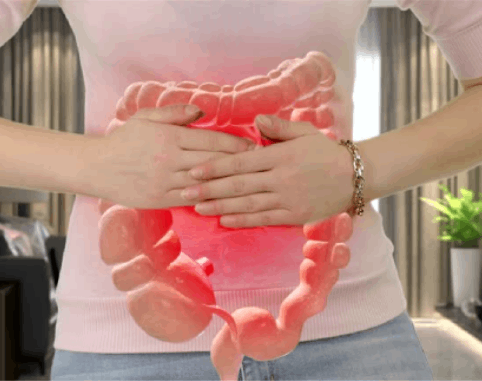 Gut Save supporting a healthy, balanced digestive system